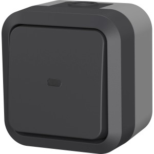 Aufputz Lichtschalter Aqua Pro, 2-polig, beleuchtet, in Grau-Anthrazit für Feuchträume.