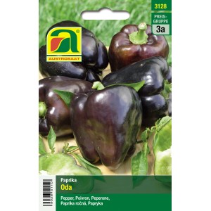 Austrosaat Paprika Oda Violett: Saatgut für violette Gemüsepaprika.