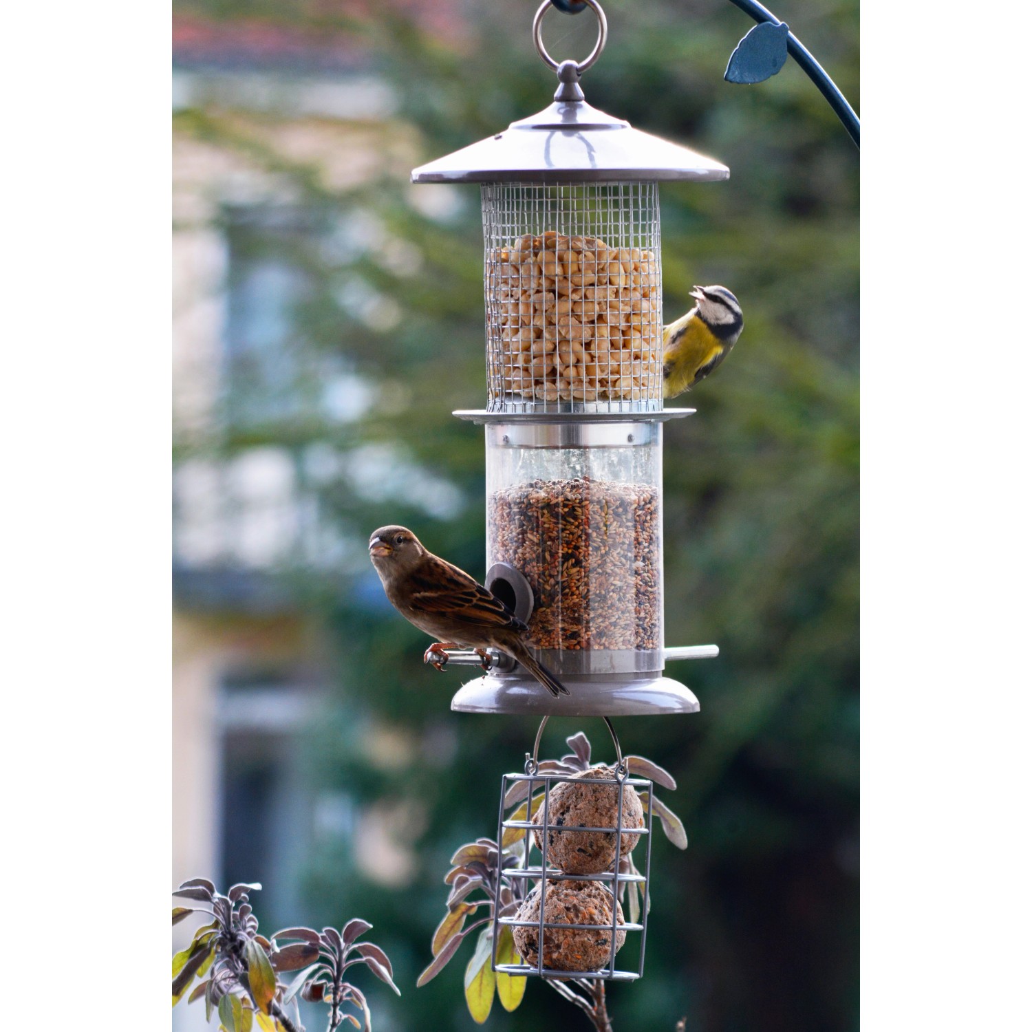 Dobar MetallMultifunktionsFuttersäule für Vögel 16 cm x 16 cm x 50 cm