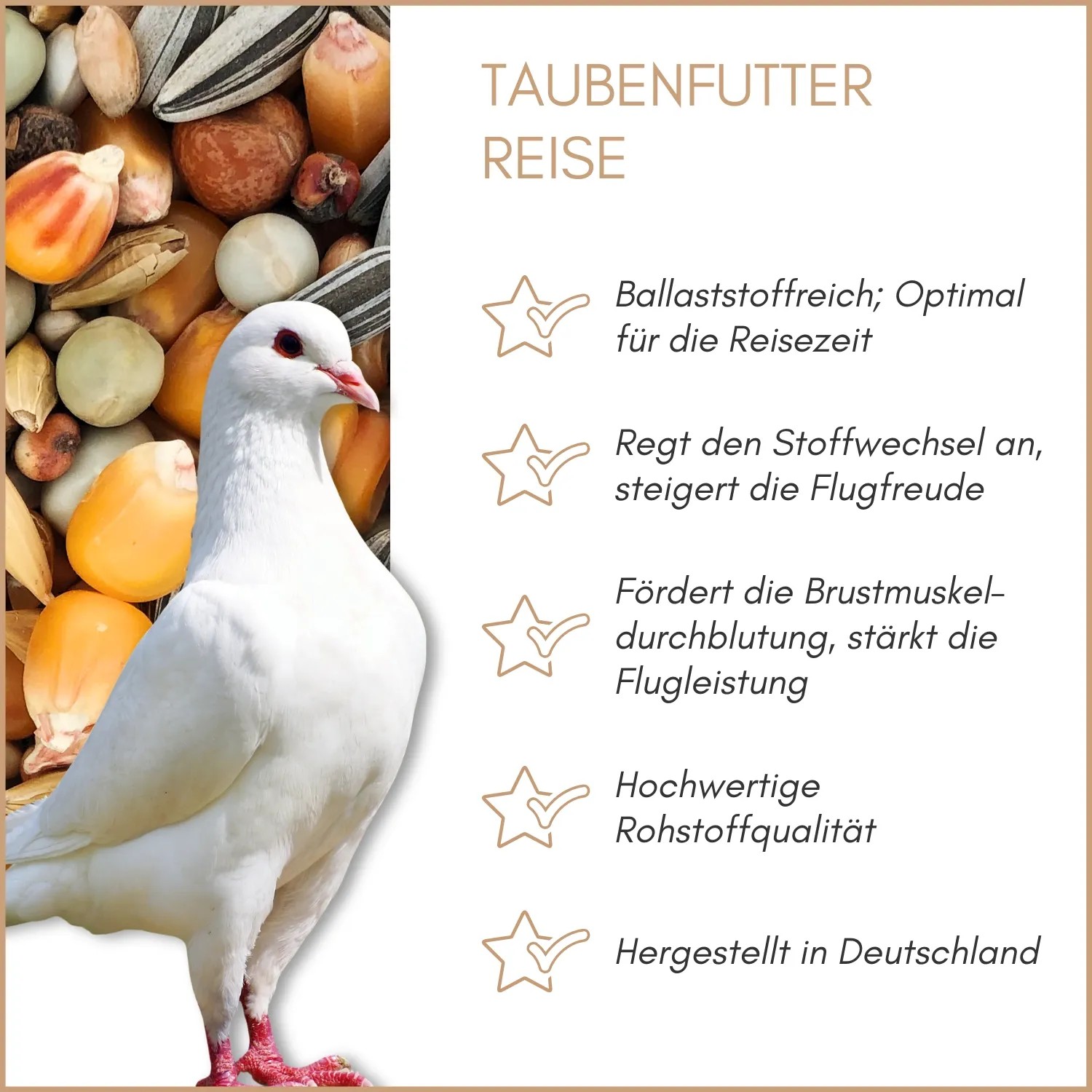Weiße Taube vor Supravit Reise Taubenfutter. Hochwertige Körnermischung für Rassetauben, stärkt Flugleistung.