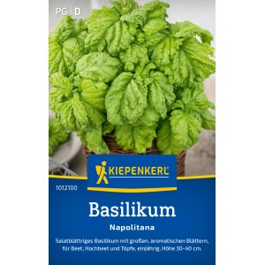 Kiepenkerl Basilikum "Napolitana"