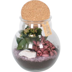 Pflanzen-Arrangement im Glas mit Korkdeckel, Topf-Ø ca. 18cm, mit rosa Blüten und grünen Blättern.