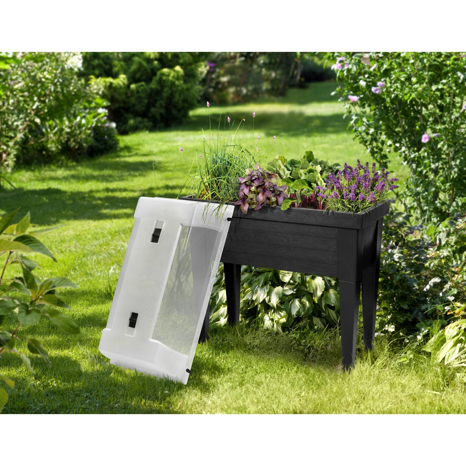 MaxiHochbeet mit Abdeckhaube 107 cm x 50 cm x 100 cm Anthrazit kaufen