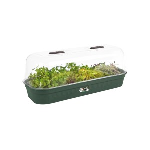 Elho Anzuchtschale Green Basics mit Haube, 52x20x8cm, grün, bepflanzt mit Kräutern und Salat.