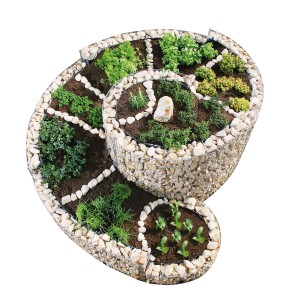Bellissa Gabionen-Kräuterspirale, große Kräuterschnecke aus Gabionen mit verschiedenen Kräutern bepflanzt.