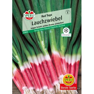 Sperli Lauchzwiebel 'Red Toga' Samenpackung mit roten Zwiebeln und grünen Blättern.