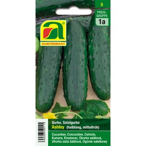 Austrosaat Salatgurke Ashley: Saatgut für mittelfrühe, dunkelgrüne Gurken.