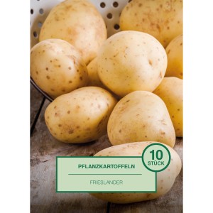 Pflanzkartoffeln Frieslander, 10 Stück, hellgelb mit kleinen Punkten, in einem Drahtkorb.