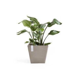 Ecopots Pflanztopf Rotterdam Braungrau 30 cm
