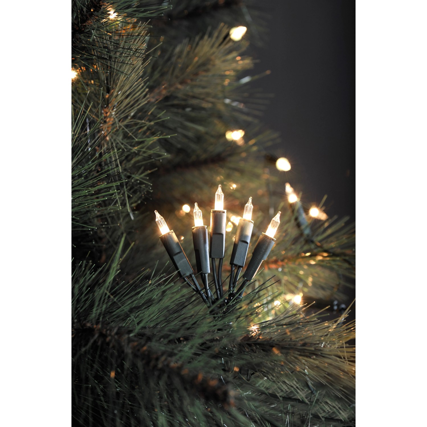 Konstsmide Mini LED Lichterkette mit 35 warmweißen LEDs für den Innenbereich.