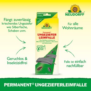 Neudorff Ungezieferleimfalle: Geruchlose Falle zur Bekämpfung von Silberfischchen, Schaben und Kellerasseln.