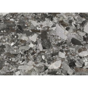 Komar Vliestapete Marble Master: Fototapete mit Marmor-Optik in Grau- und Weißtönen.