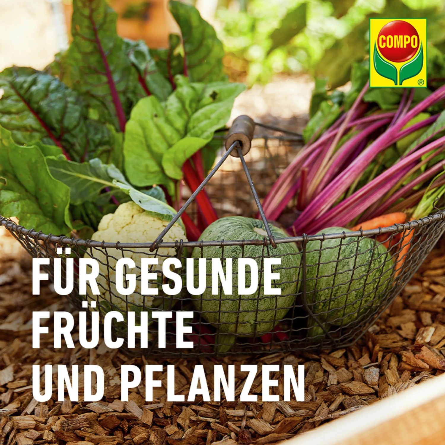 Compo Bio Universal-Erde torffrei mit Schafwolle weniger Gewicht 30 l_6