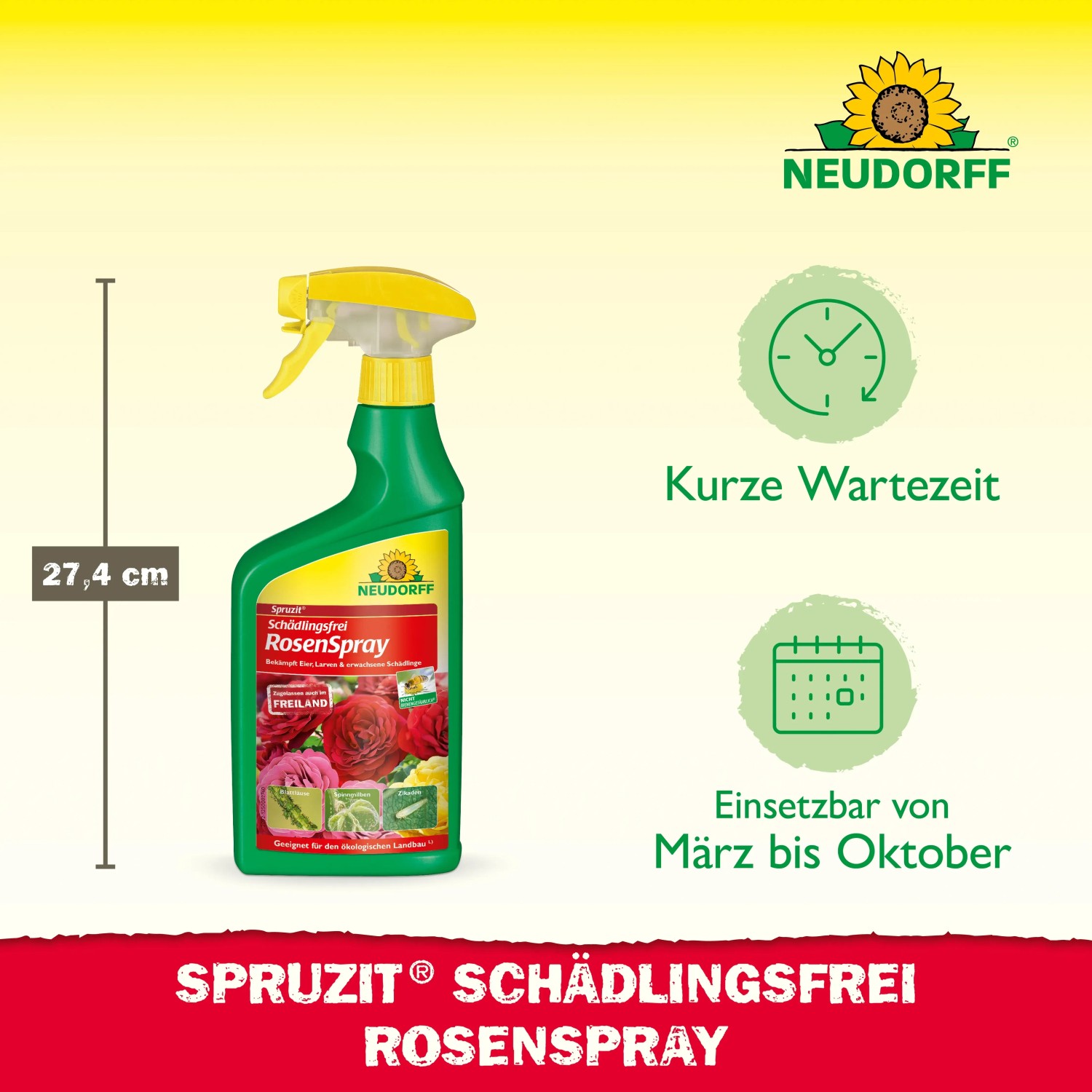 Neudorff Spruzit AF RosenSpray 750ml zur Schädlingsbekämpfung an Rosen und Zierpflanzen.