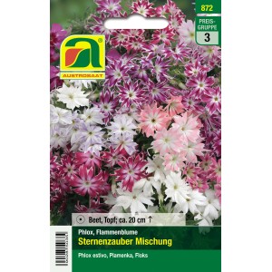 Austrosaat Flammenblume Sternenzauber Mischung Phlox drummondii Samenpackung mit bunten Blüten.