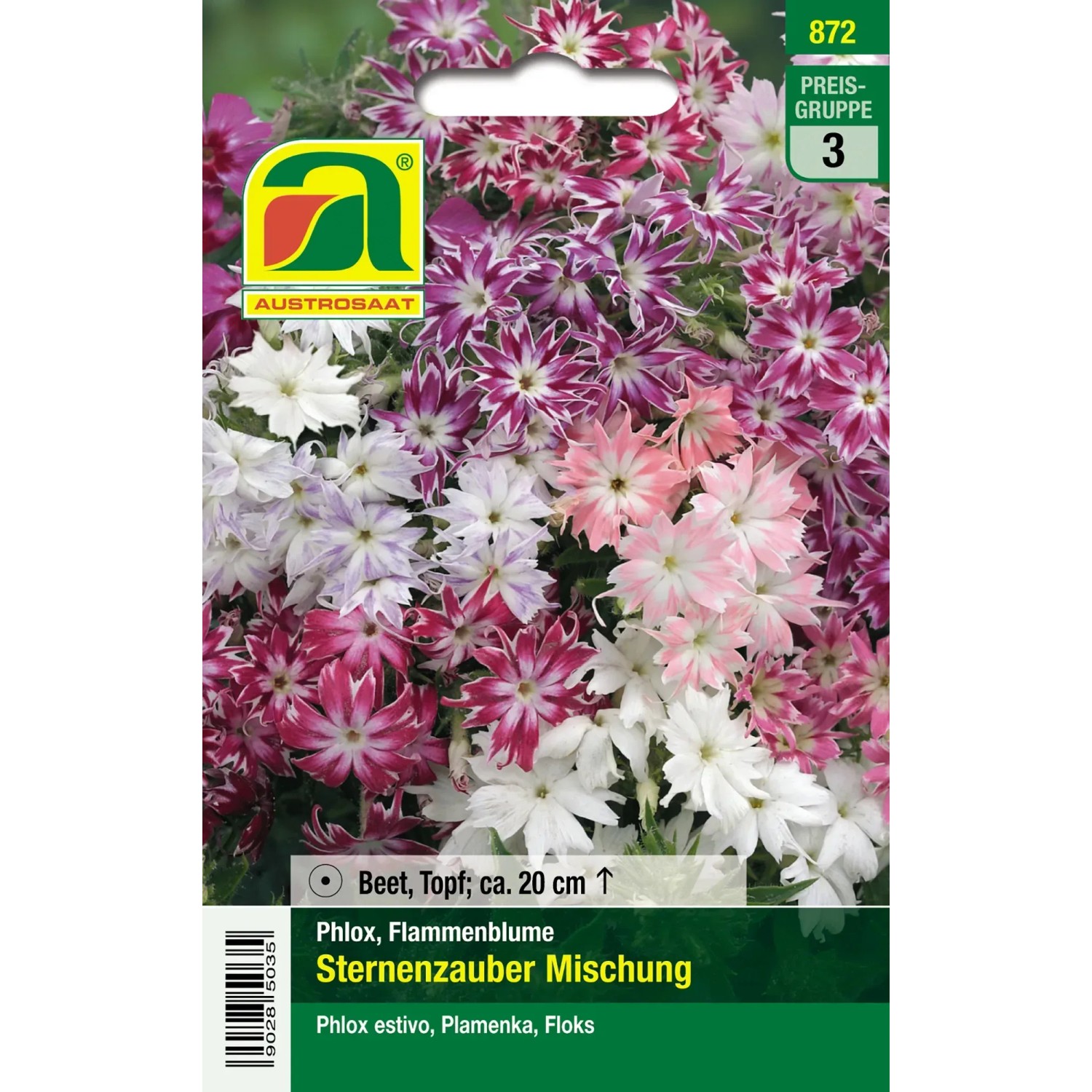 Austrosaat Saatgut Flammenblume "Sternenzauber Mischung" Phlox drummondii  kaufen bei OBI