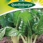 Quedlinburger Mangold 'Lucullus' Samen, grüne Blätter und helle Stiele.