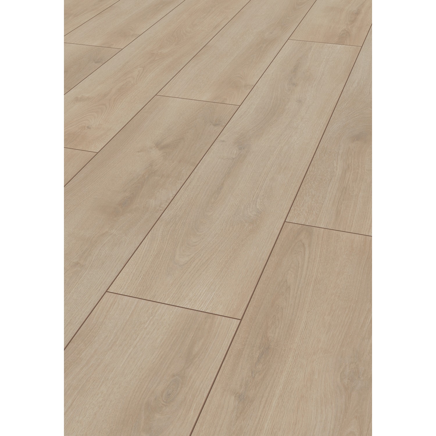 Jangal Laminatboden Oak National Park Line Pro Silent, helle Eichenoptik.