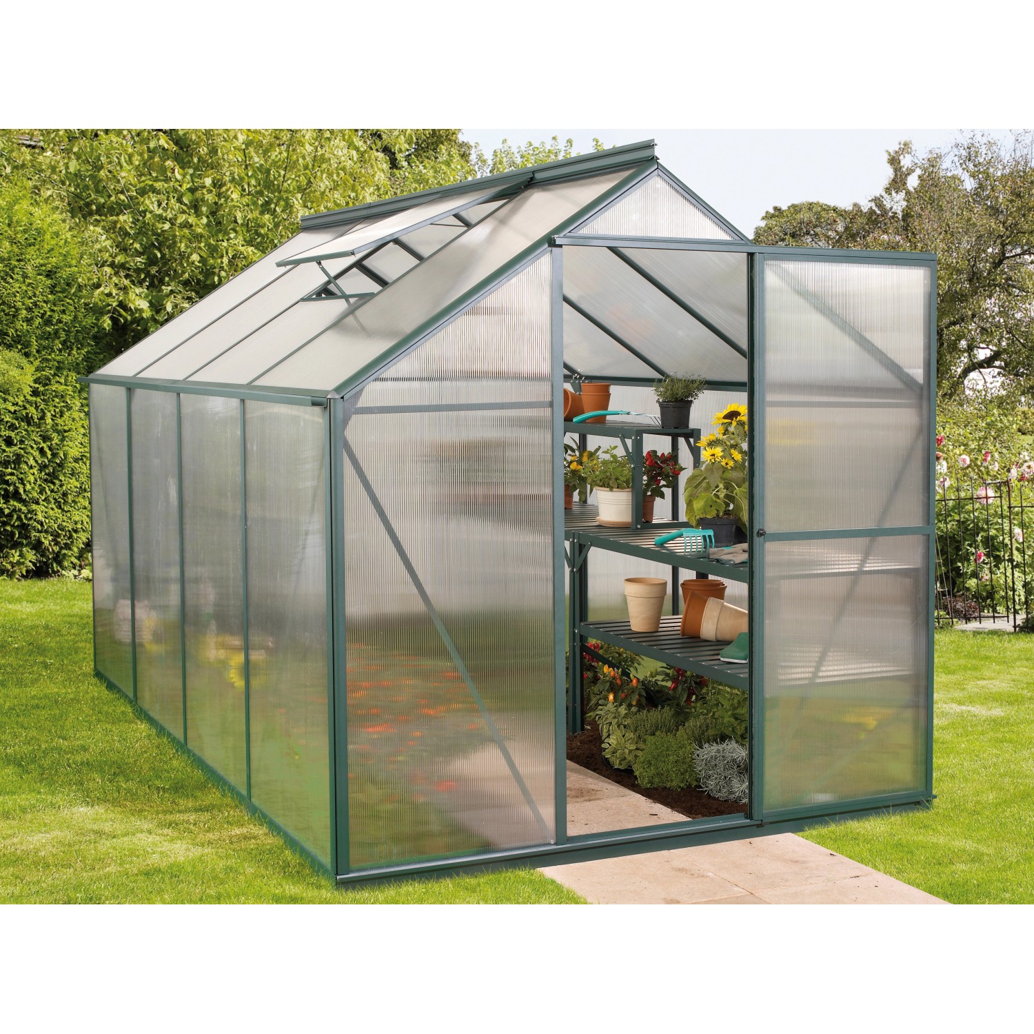 Dunkelgrünes Gewächshaus Triton 5000 mit Fundament und geöffneter Tür, bepflanzt.