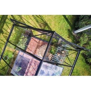 Halls Gewächshaus Icon 8 Schwarz, 8,1 m², Vogelperspektive mit Pflanzen und Gartentisch.