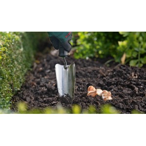 Bosch Garten-Pflanzkelle im Einsatz beim Pflanzen von Blumenzwiebeln in dunkler Erde.