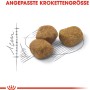 Royal Canin Indoor 7+ Trockenfutter: Kroketten mit angepasster Größe für ältere Wohnungskatzen.