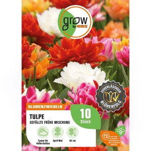 GROW by OBI Pfingstrosen-Tulpen Mischung, gefüllte Tulpen in verschiedenen Farben.