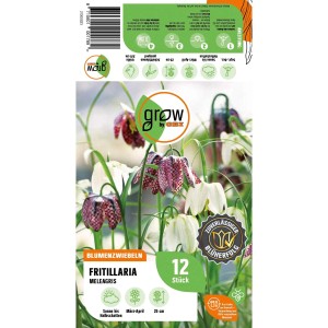 GROW by OBI Kaiserkrone, Fritillaria meleagris Mischung, 12 Blumenzwiebeln mit karierten Blüten.