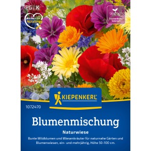 Kiepenkerl Blumenmischung Naturwiese mit bunten Wildblumen und Kräutern.