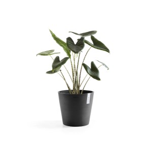 Ecopots Pflanztopf Amsterdam Dunkelgrau Ø 40 cm / Höhe 35 cm