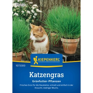 Kiepenkerl Katzengras
