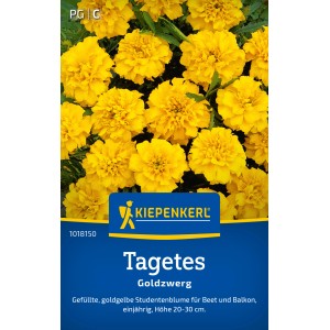 Kiepenkerl Studentenblume "Goldzwerg" Gelb Tagetes