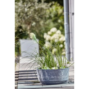 Heissner Solar-Wassergarten Aquatopia mit Bepflanzung als Teichdeko.