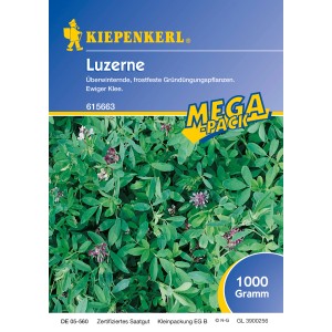 Kiepenkerl Luzerne