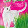 Vitakraft Katzengras 120g: Keimschale mit frischem, grünem Gras für Katzen.