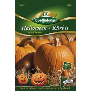 Samenpackung Quedlinburger Halloween Kürbis 'Jack O'Lantern' mit orangenen Kürbissen.