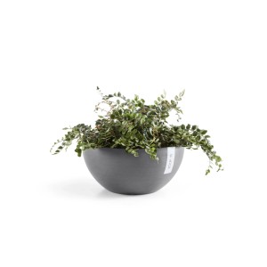 Ecopots Pflanzschale Brussels Grau 35 cm
