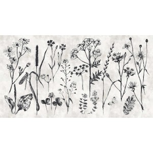 Fototapete mit Blumenwiese in Beige, Creme und Schwarz. Florales Muster für Wandgestaltung.