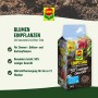 Compo Qualitäts-Blumenerde ca. 50 Prozent weniger Gewicht 1 x 40 l_3