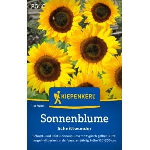 Kiepenkerl Sonnenblume Schnittwunder Gelb, gelbe Blütenköpfe mit dunkler Mitte.