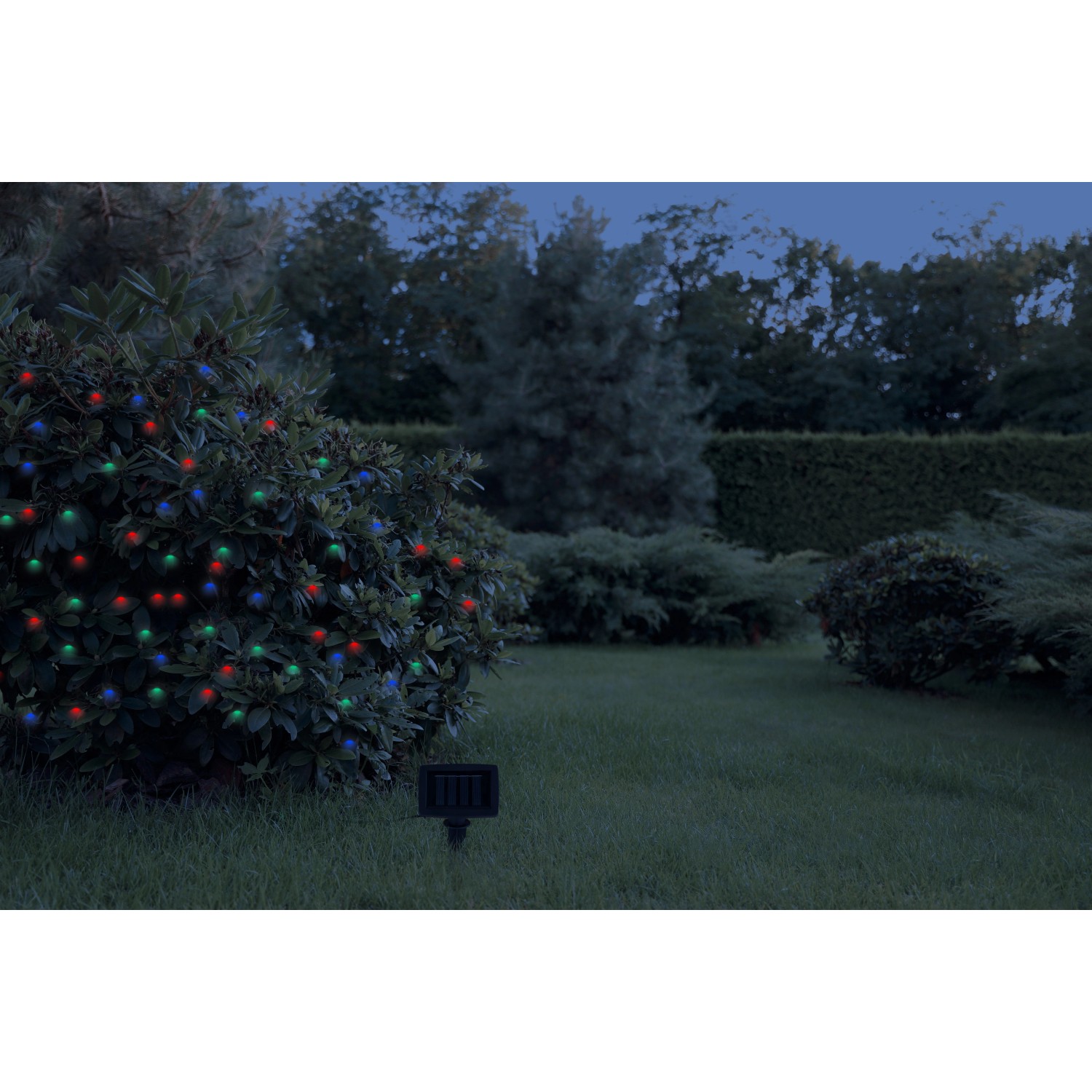 Globo Solar-Lichterkette mit bunten Lichtern an einem Busch im Garten.