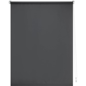 Graues Tageslicht-Rollo Zamora, 60x175 cm, für Sichtschutz ohne Verdunkelung.