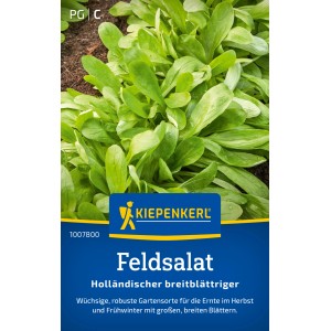 Kiepenkerl Feldsalat "Holländischer breitblättriger"