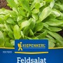 Kiepenkerl Feldsalat Holländischer breitblättriger, dunkelgrüne Blätter.
