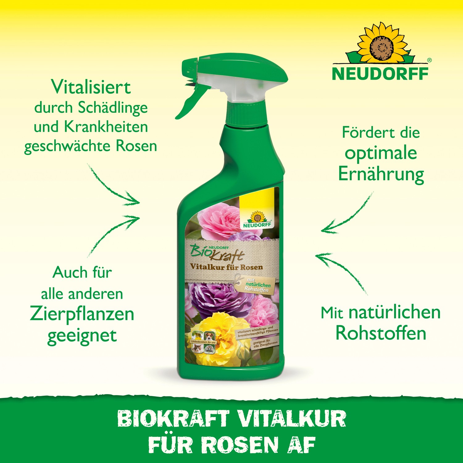 Neudorff BioKraft Vitalkur für Rosen AF 500ml im grünen Sprühflasche.