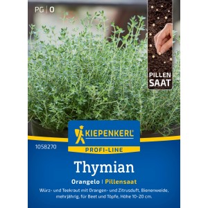 Kiepenkerl Profi-Line Thymian "Orangelo" Pillensaat