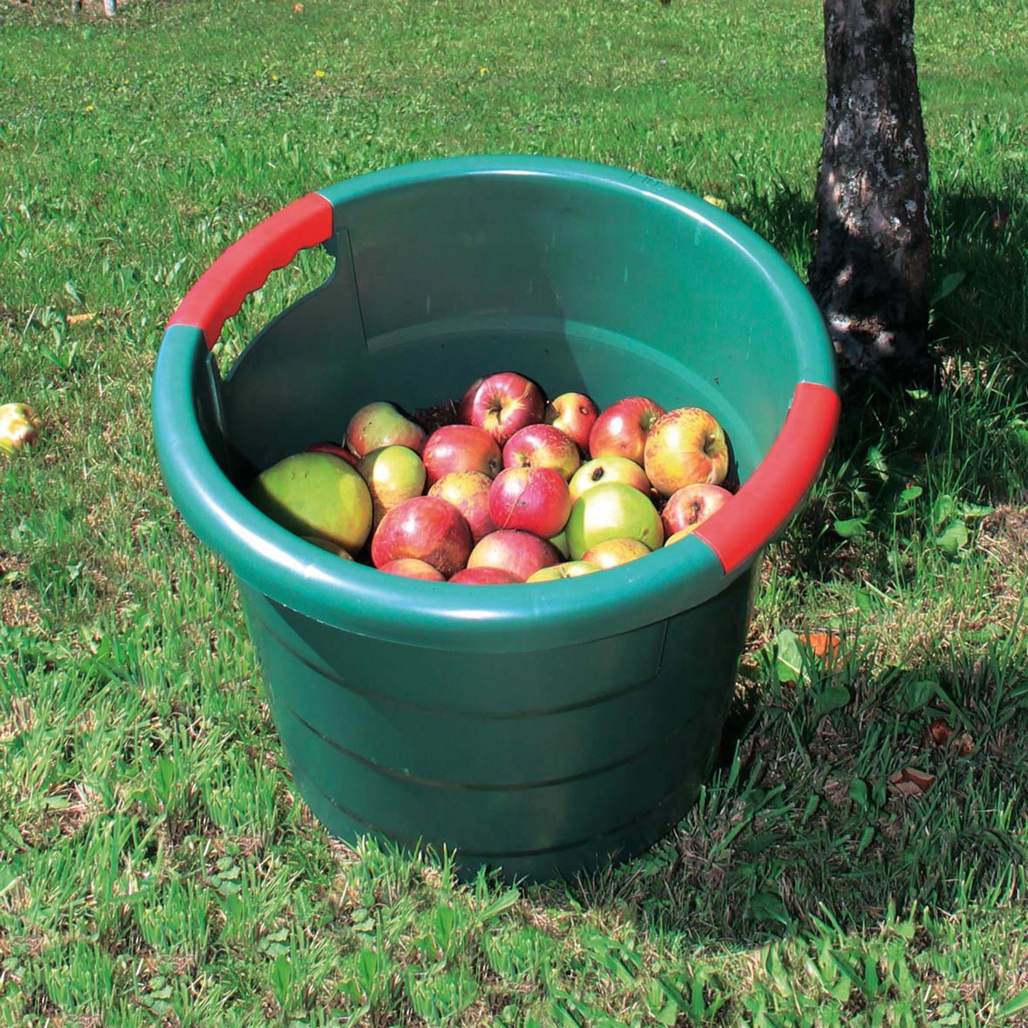 Grünes Garantia Universal-Rundgefäß Toni 45L gefüllt mit Äpfeln im Garten.