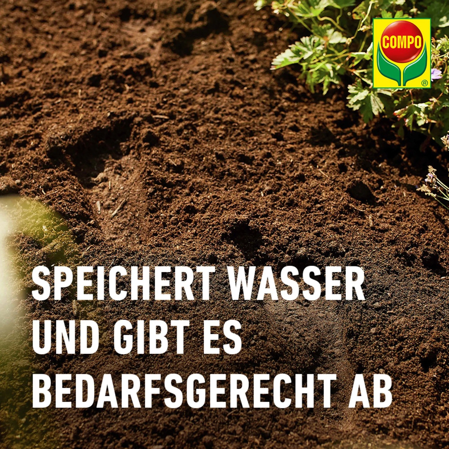 Compo Sana Balkon- und Kübelpflanzenerde 1 x 50 l_7