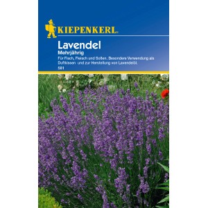 Kiepenkerl Lavendel Lavendelblau
