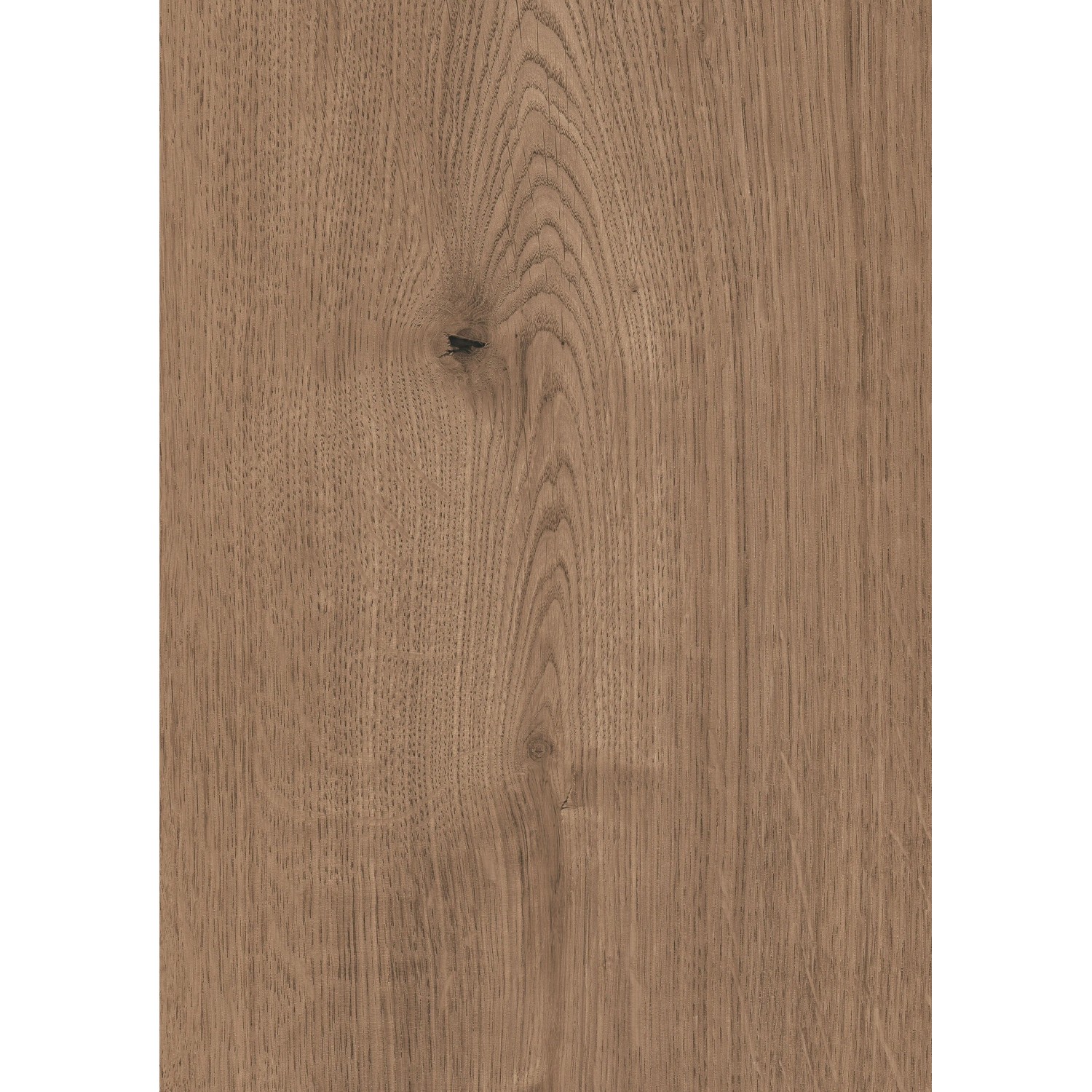 Kaindl Laminat Eiche Ferrara, 8 mm, wasserfest. Detailansicht der Holzmaserung mit Astloch.